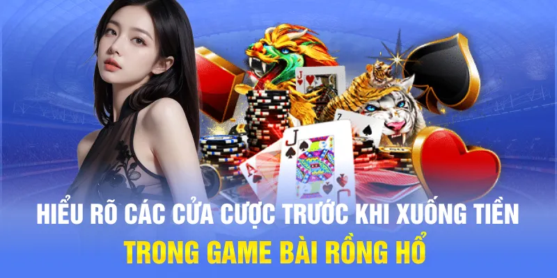 Hiểu rõ các cửa cược trước khi xuống tiền trong game bài Rồng Hổ