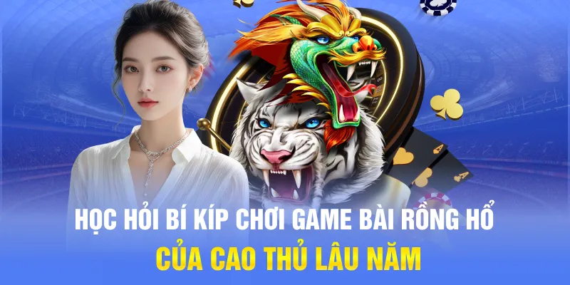 Học hỏi bí kíp chơi game bài Rồng Hổ của cao thủ lâu năm